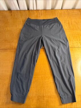Patagonia Happy Hike Studio Pant lined